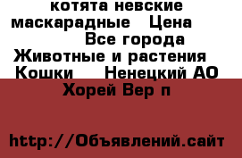 котята невские маскарадные › Цена ­ 18 000 - Все города Животные и растения » Кошки   . Ненецкий АО,Хорей-Вер п.